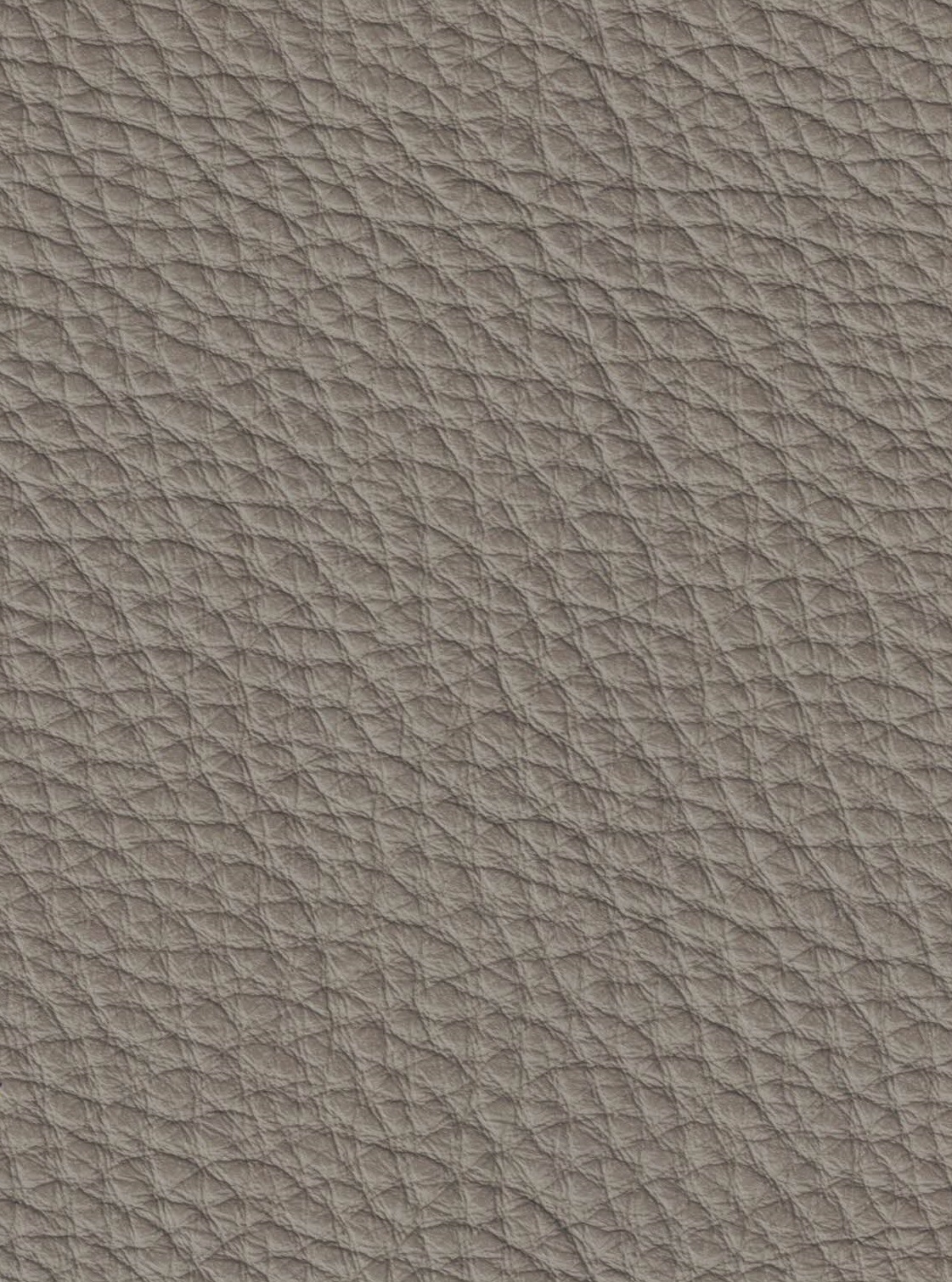 Emotion 1587 tortora 