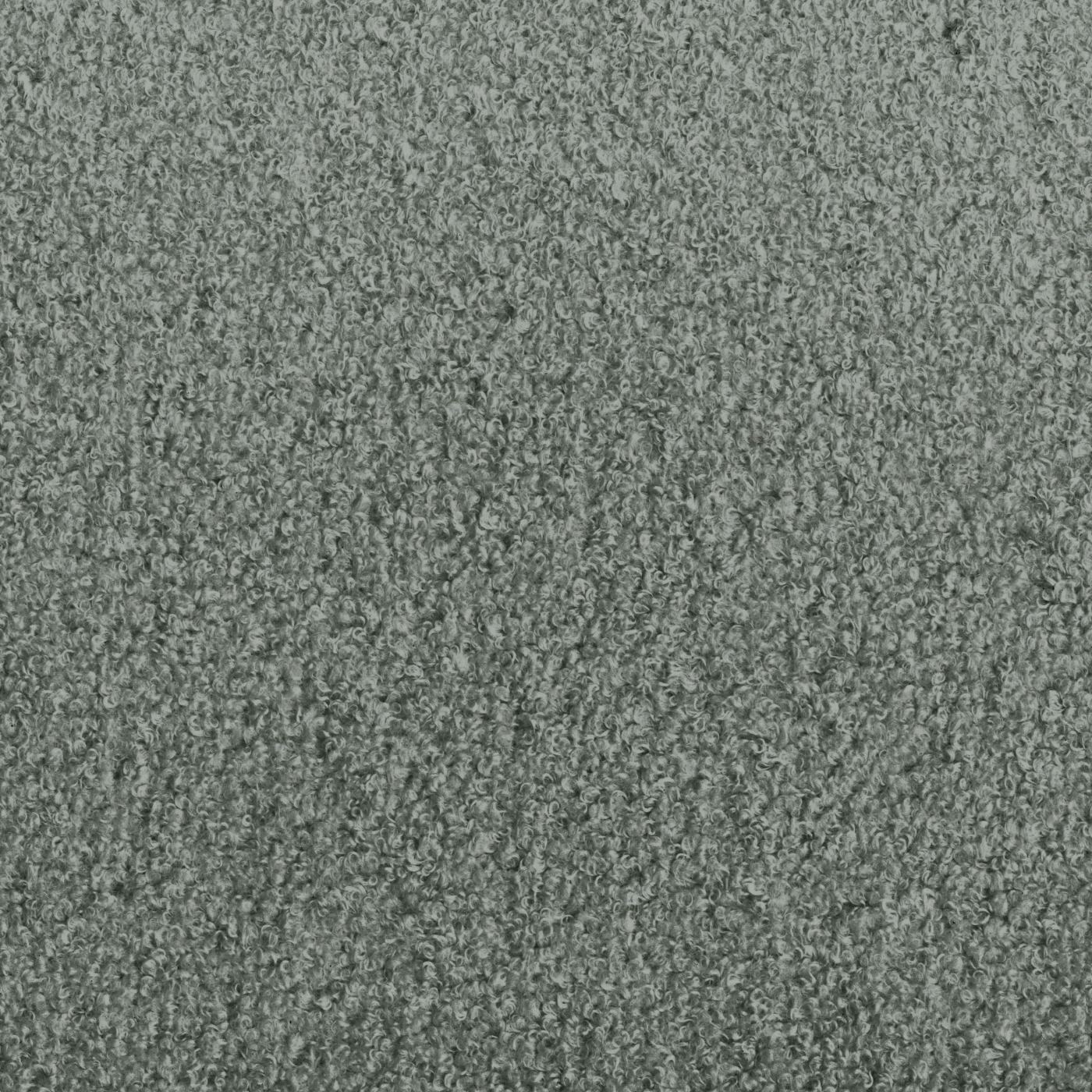 Teddy 8800 Fr 003 Tortora 