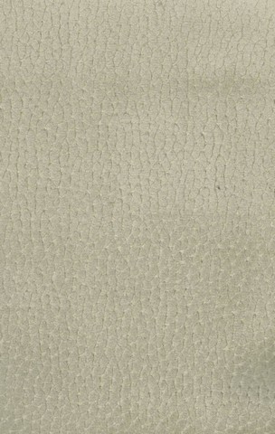 Pascia 18 paglierino