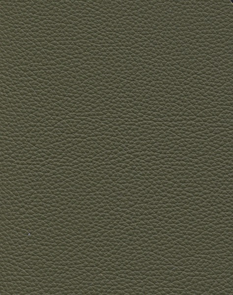 Suave 1531 olive 